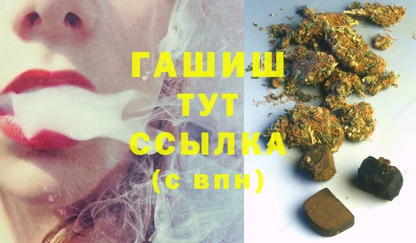 spice Богородицк